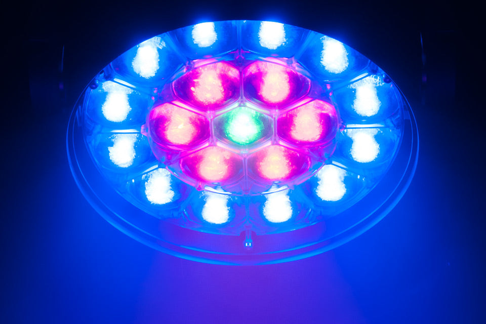 ADJ Vizi Wash Pro: Introducing ADJ’s Most Powerful Moving Head Wash