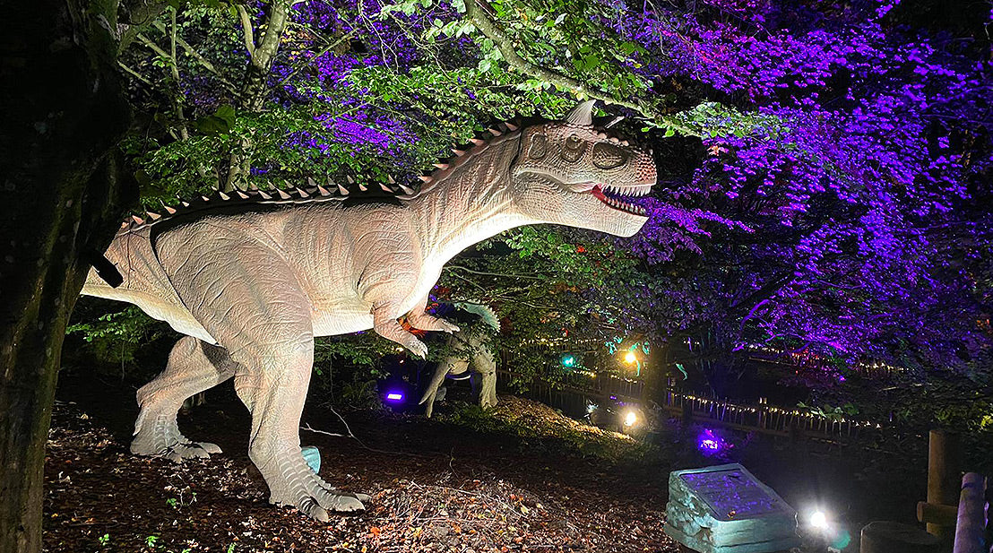 ADJ IP65-Rated Fixtures Installed To Light New Dinosaur Exhibit At Scottish Safari Park