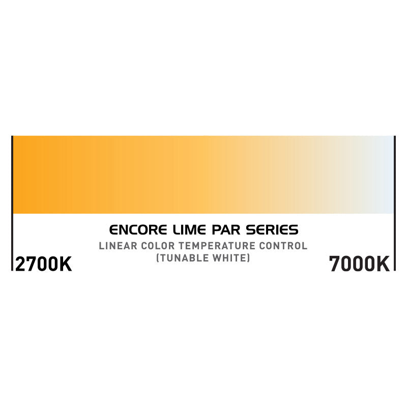 Encore LP12IP