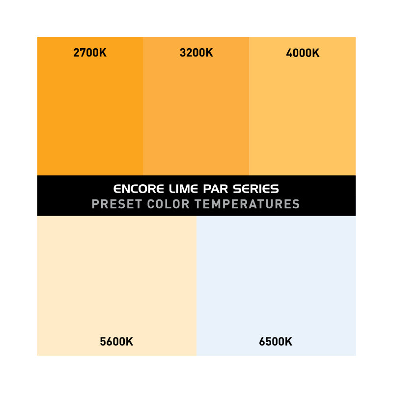 Encore LP12IP