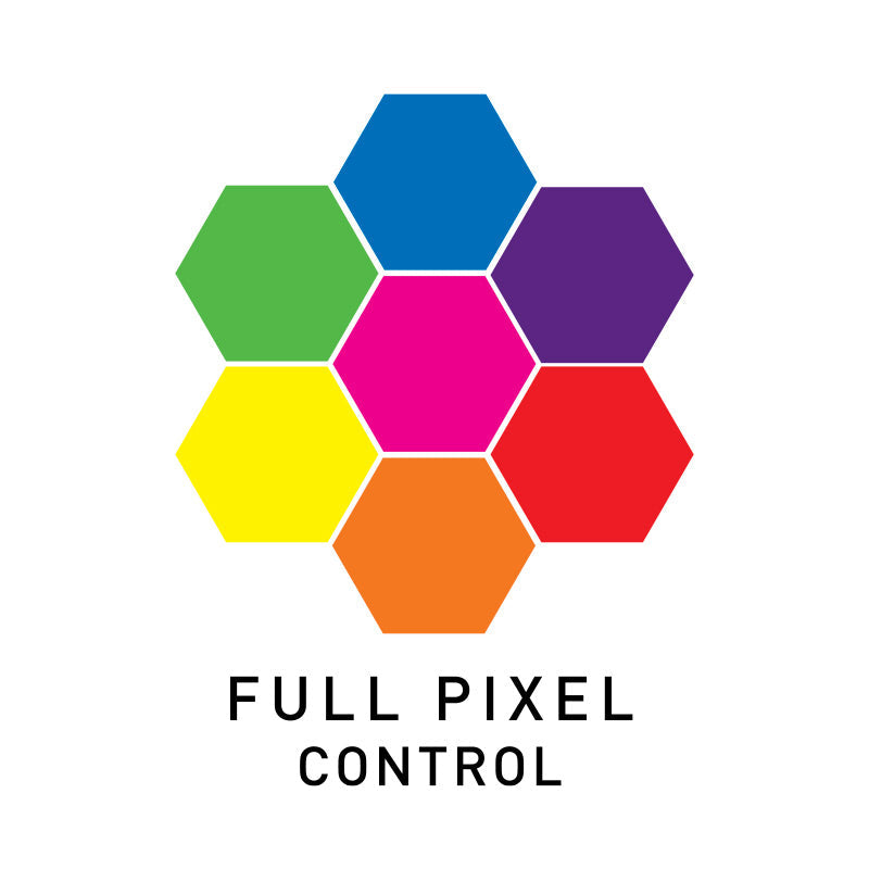 Focus Flex L19