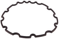 BACK SEAL RING FOR ENCORE BURST 100 IP