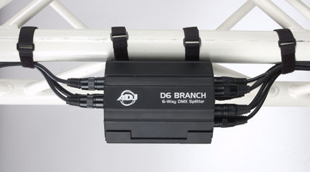 D6 Branch