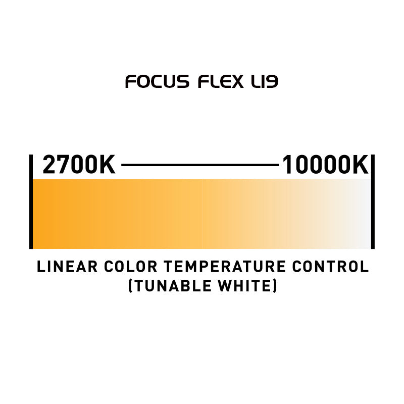 Focus Flex L19