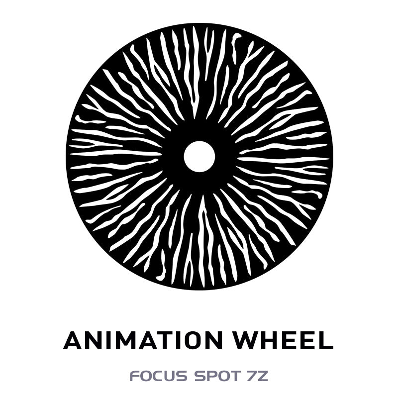 Focus Spot 7Z