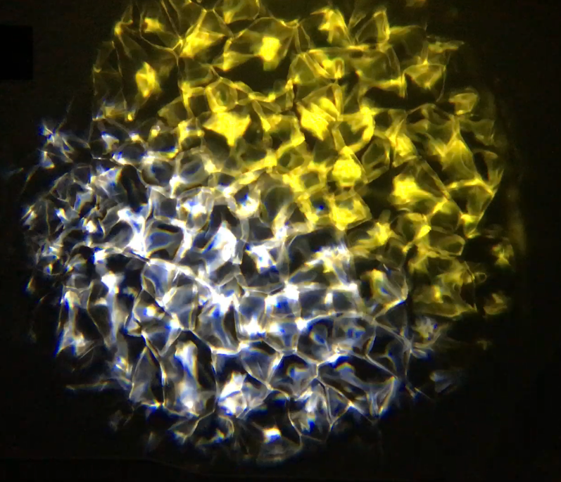 Aqua LED