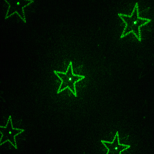 Scatter Star