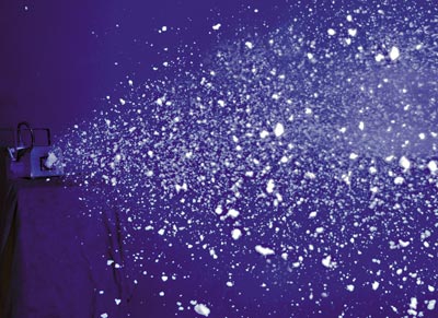 Snow Flurry
