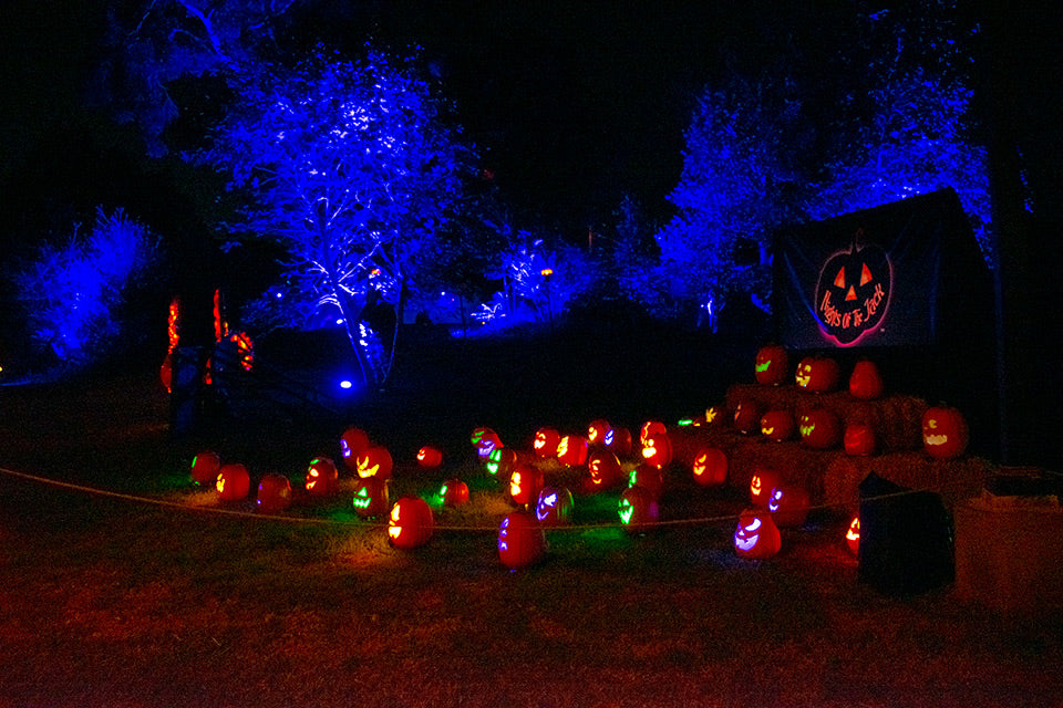 Nights Of The Jack Halloween Experience Brought To Life By ADJ IP65 Fixtures