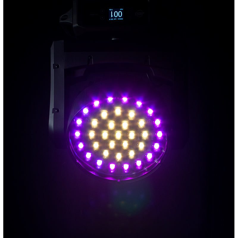 BRIGHTNESS　【kreis】 ADJ Vizi Wash Z37