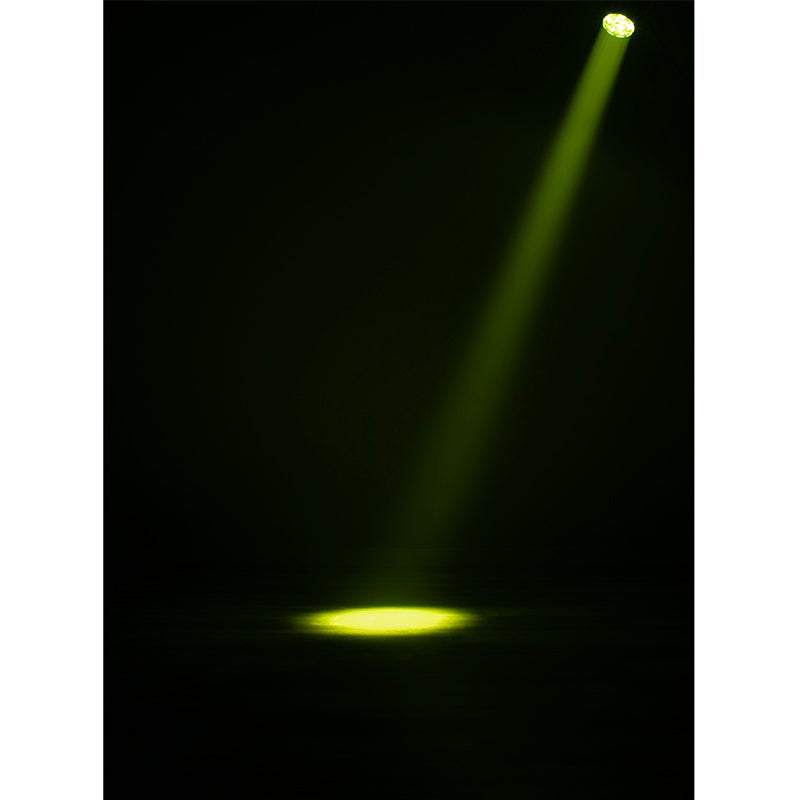 ADJ Encore LP12Z IP (ENC395)