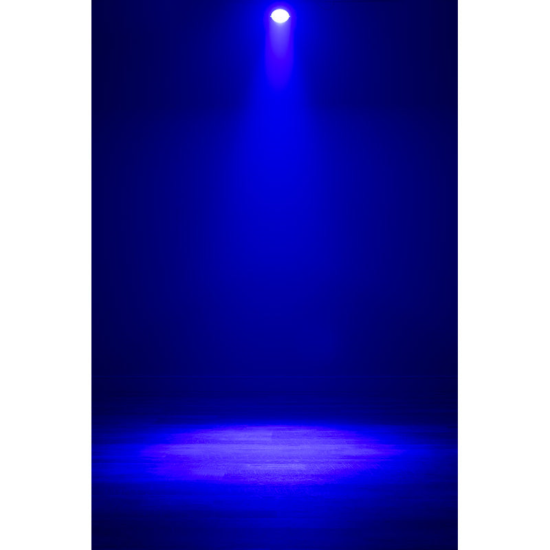ADJ Lighting Dotz Par RGBL