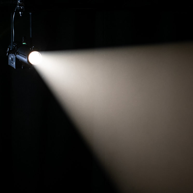 Encore Profile Mini WW