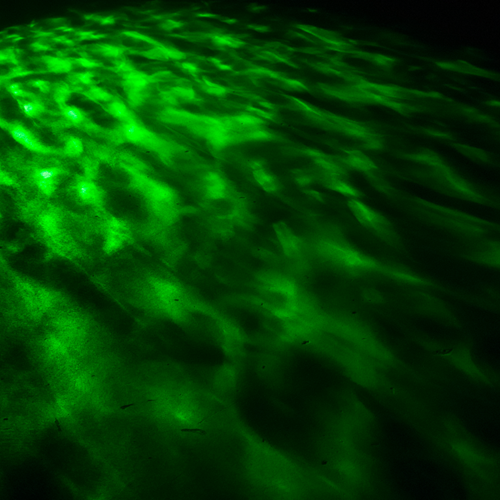 Aqua LED