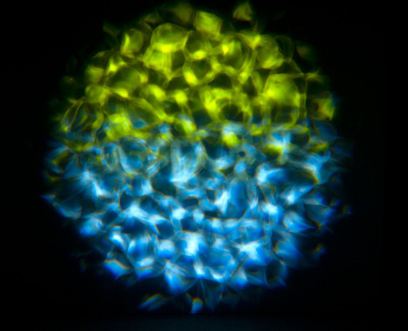 Aqua LED 2