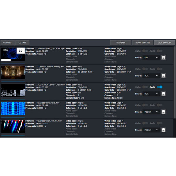 MEDIA MASTER PRO 6 (LICENSE)