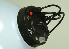 Globe Color