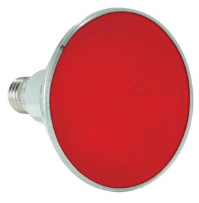 LLPar 38 LED R