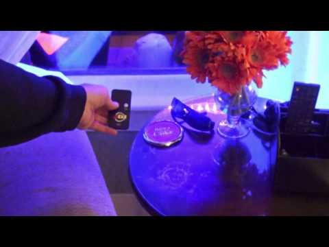 ADJ ECO UV BAR PLUS IR 1-Meter UV LED Bar with Remote