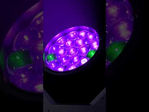 Focus Flex L19 | Wash Moving Heads | ADJ Lighting