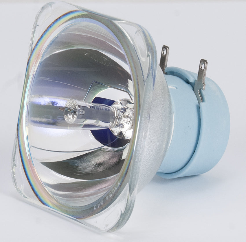 ZB-MSD PLATINUM 5R